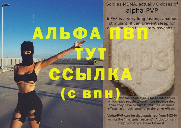спайс Вяземский
