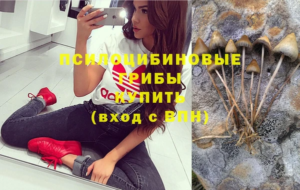 МДПВ Вязники
