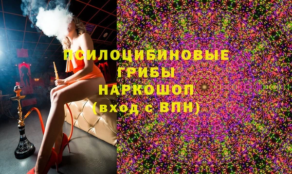 спайс Вяземский